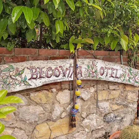 Begovina *